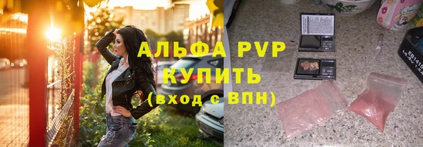 ПСИЛОЦИБИНОВЫЕ ГРИБЫ Белокуриха