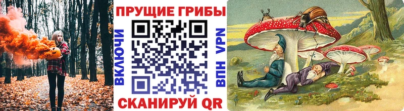 Псилоцибиновые грибы ЛСД Норильск
